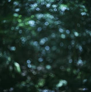 自然由来のRetocosの森