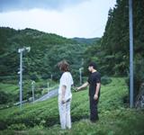 松尾氏の嬉野の茶畑