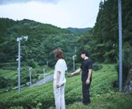 松尾氏の嬉野の茶畑