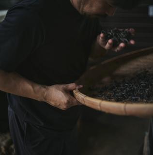 ほうじ茶ロウリュのための剪定